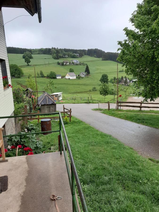 Апартаменты Schwarzwaldblick Титизее-Нойштадт Экстерьер фото