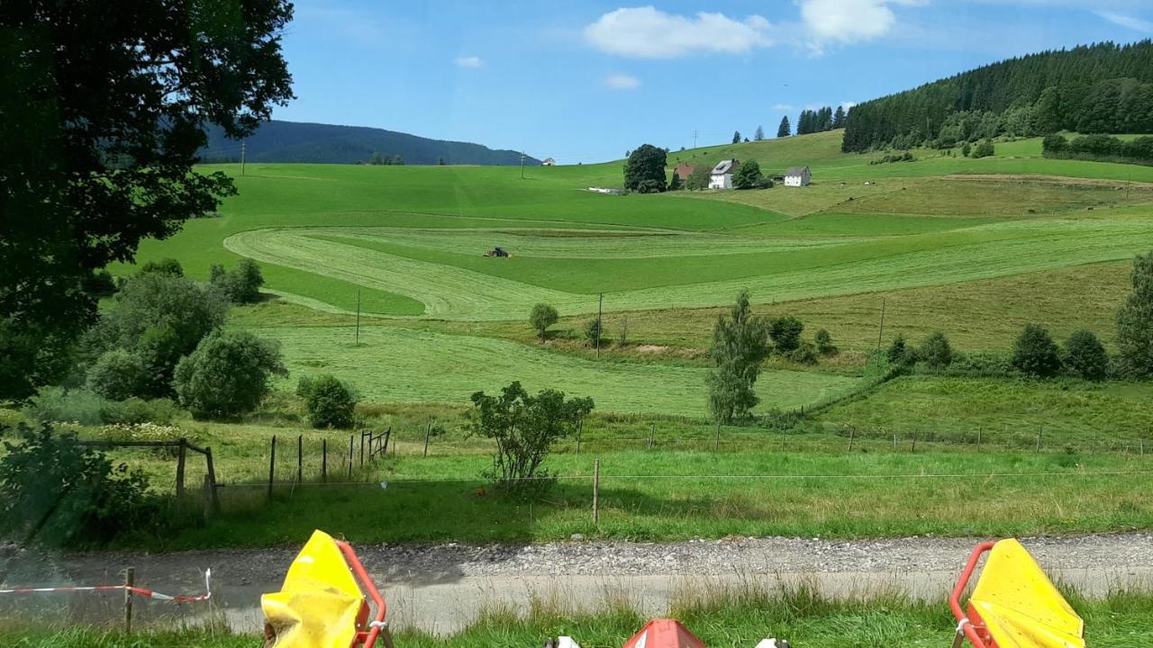 Апартаменты Schwarzwaldblick Титизее-Нойштадт Экстерьер фото